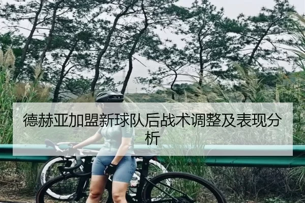 德赫亚加盟新球队后战术调整及表现分析