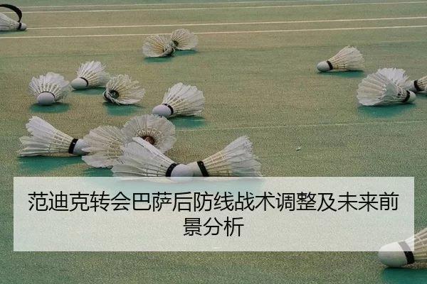 范迪克转会巴萨后防线战术调整及未来前景分析